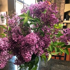 Meet your Posher, Sally